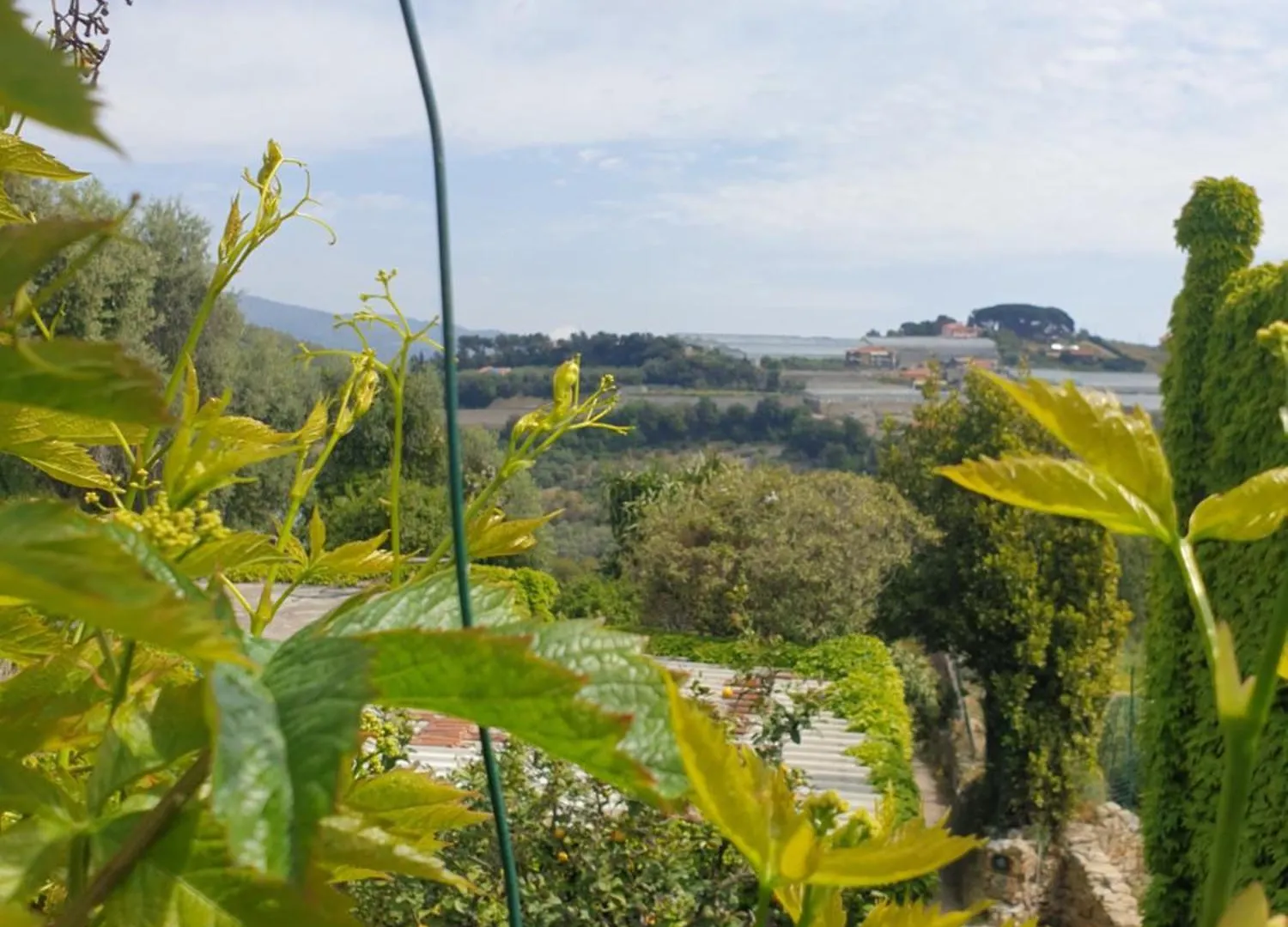 Villa Casa Di Ingrida Bussana Vecchia Sanremo 0*,  Italia