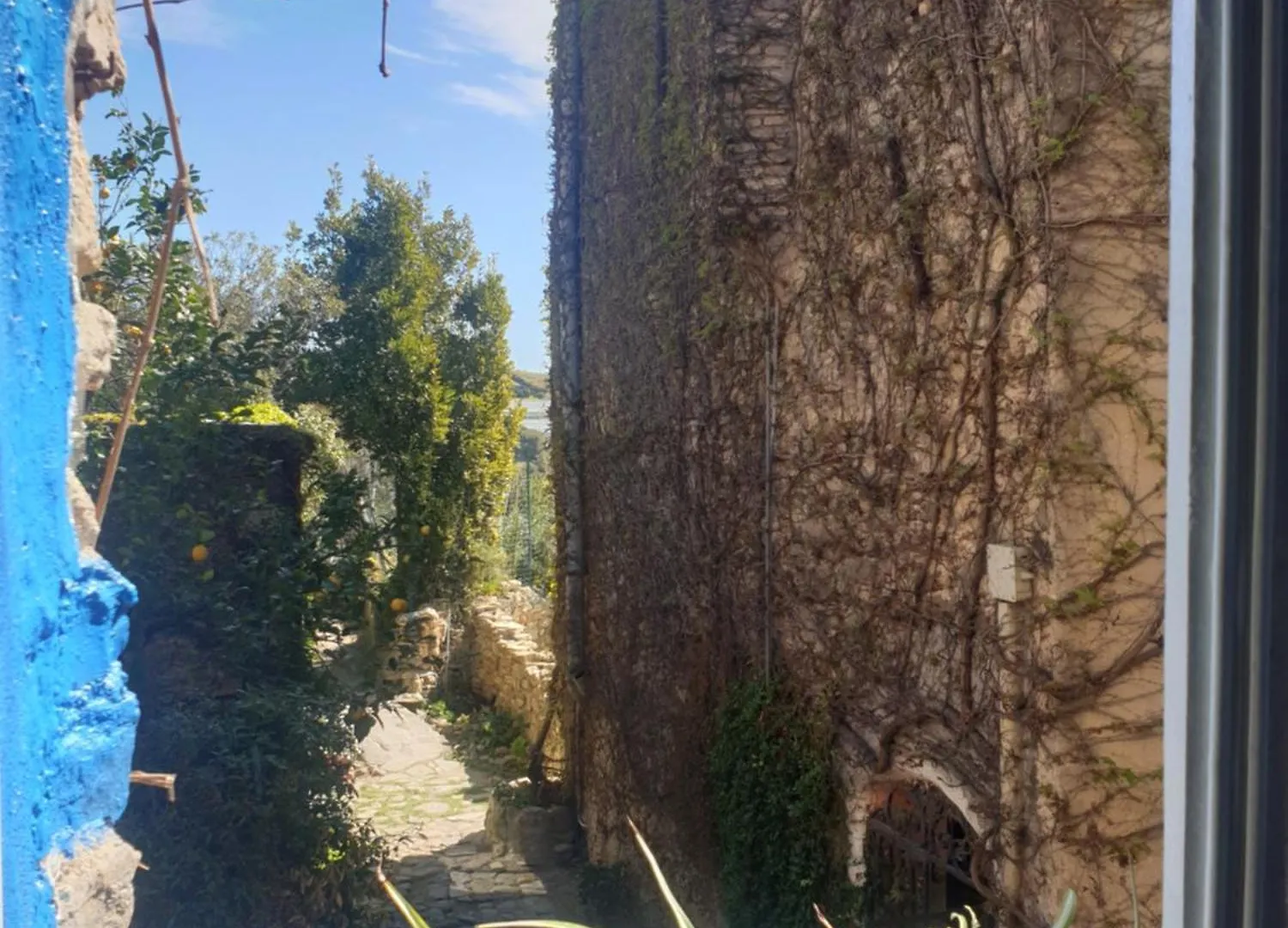 Villa Casa Di Ingrida Bussana Vecchia Sanremo
